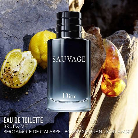 eau de toilette sauvage dior 60 ml prezzo|Dior Sauvage for men superdrug.